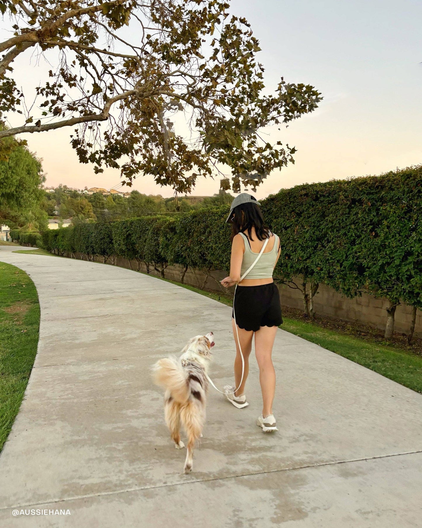 SUNNY TAILS - Cloud 4-in-1 Hundeleine - Glow in the Dark