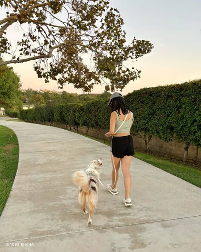 SUNNY TAILS - Cloud 4-in-1 Hundeleine - Glow in the Dark