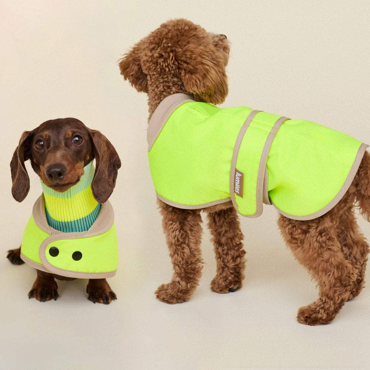 LUMIIES – Glow Raincoat Mini-Fit Hunderegenmantel Neongelb