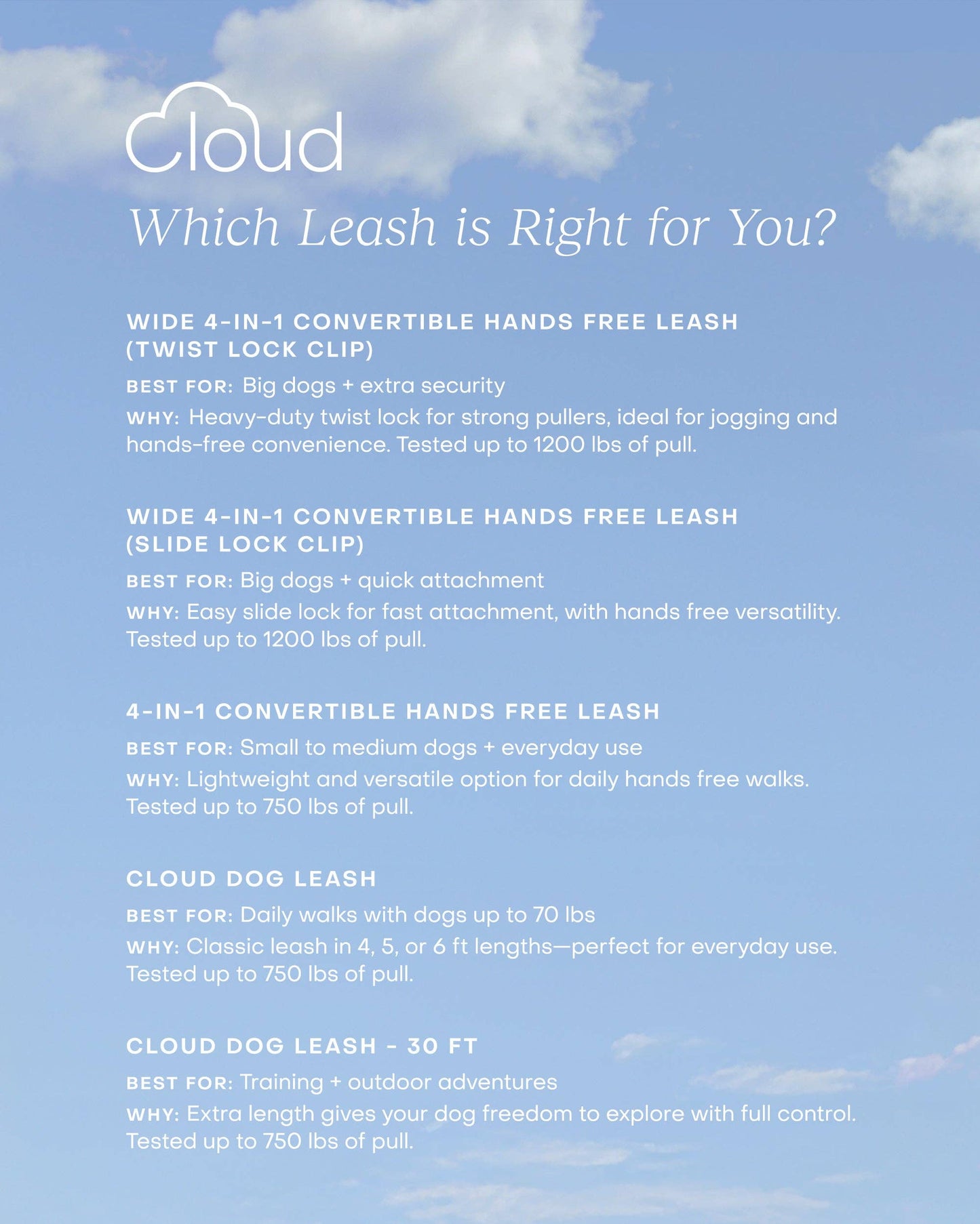 SUNNY TAILS - Cloud 4-in-1 Hundeleine - Glow in the Dark