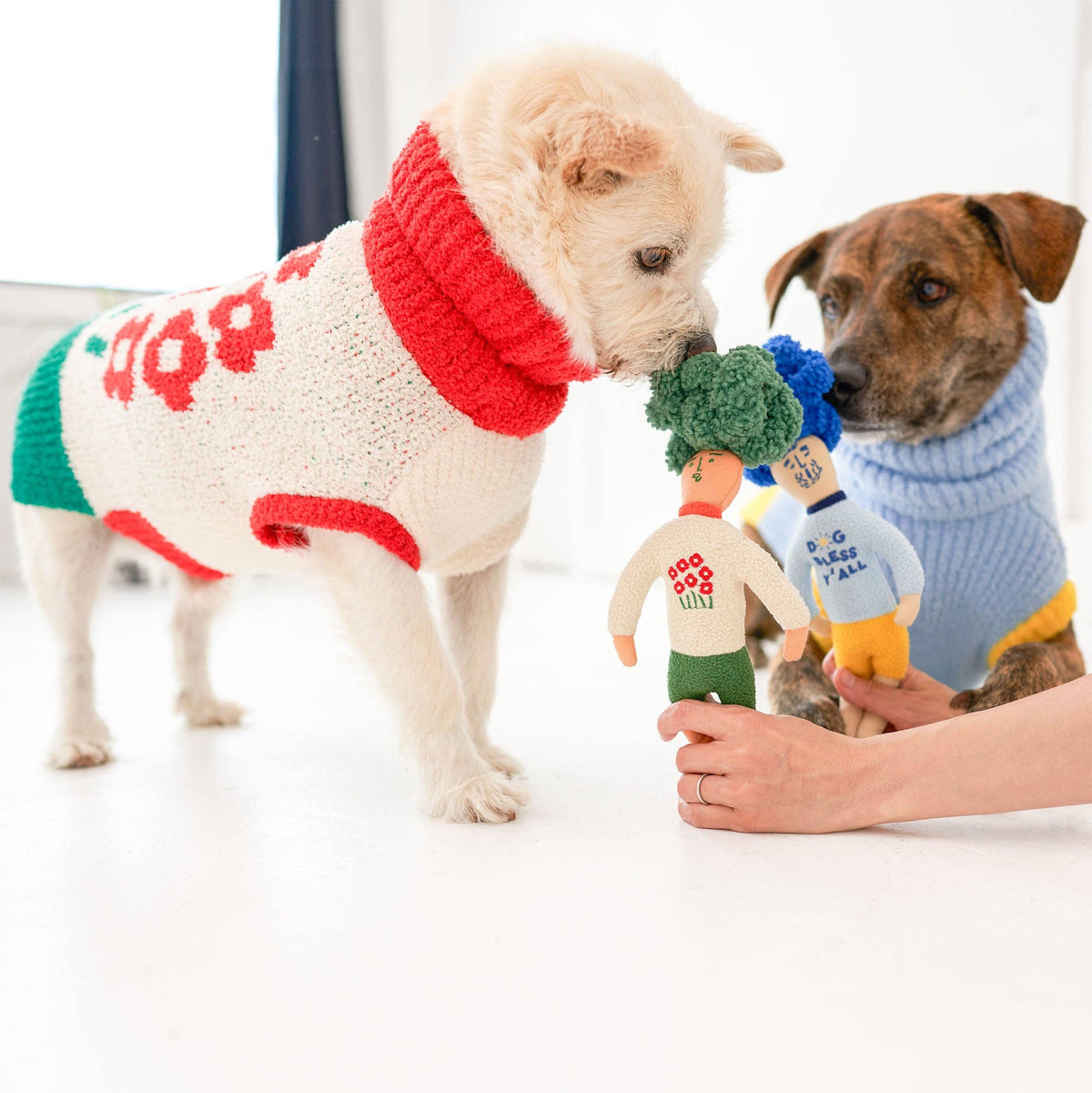 the furryfolks - Hooman Nose Work Spielzeug von the furryfolks - OSSO BLU