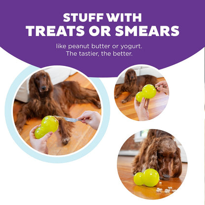 PLANET DOG - Double Tuff - Beschäftigungs- & Snackspielzeug für Hunde (Large)