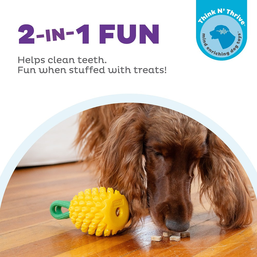 PLANET DOG - Dental Ananas - Beschäftigungs- & Dentalspielzeug für Hunde