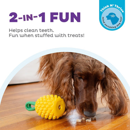 PLANET DOG - Dental Ananas - Beschäftigungs- & Dentalspielzeug für Hunde
