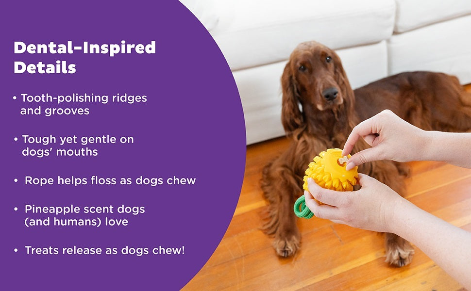 PLANET DOG - Dental Ananas - Beschäftigungs- & Dentalspielzeug für Hunde