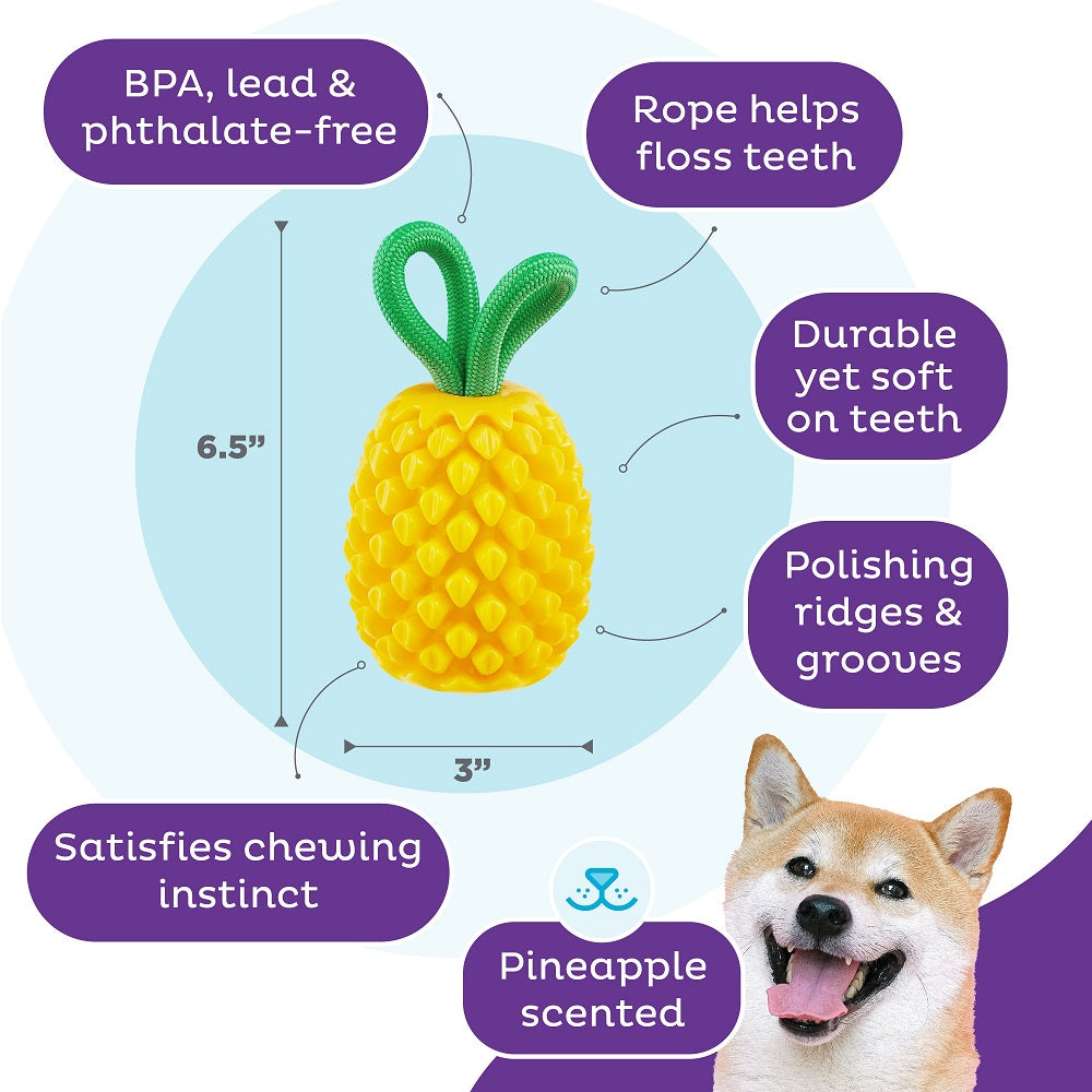 PLANET DOG - Dental Ananas - Beschäftigungs- & Dentalspielzeug für Hunde
