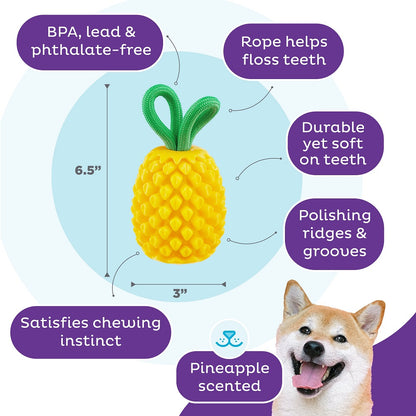 PLANET DOG - Dental Ananas - Beschäftigungs- & Dentalspielzeug für Hunde