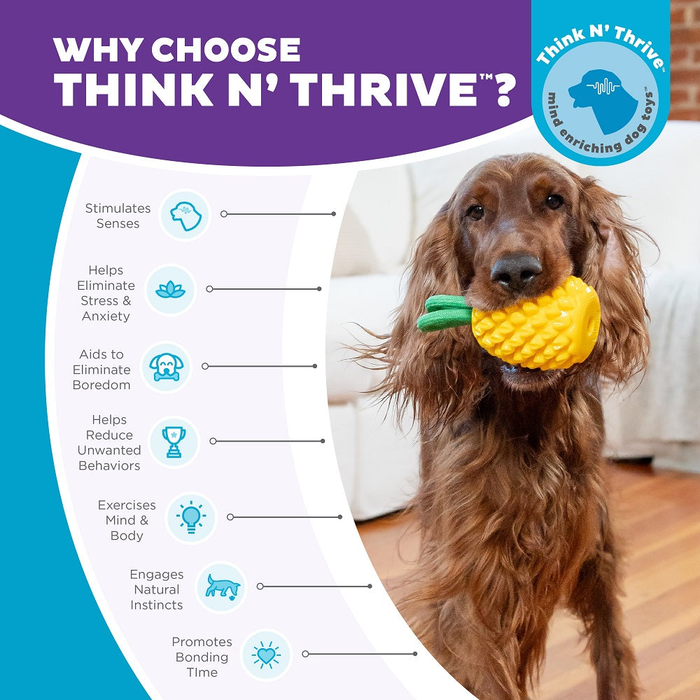 PLANET DOG - Dental Ananas - Beschäftigungs- & Dentalspielzeug für Hunde