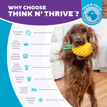 PLANET DOG - Dental Ananas - Beschäftigungs- & Dentalspielzeug für Hunde