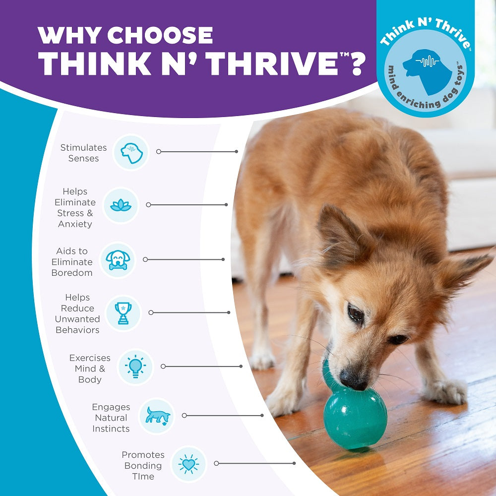 PLANET DOG - Double Tuff – Beschäftigungs- & Snackspielzeug für Hunde (Medium)