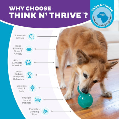 PLANET DOG - Double Tuff – Beschäftigungs- & Snackspielzeug für Hunde (Medium)