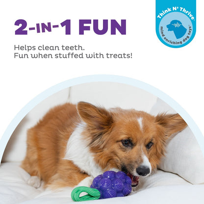 PLANET DOG - Dental Trauben - Beschäftigungs- & Dentalspielzeug für Hunde