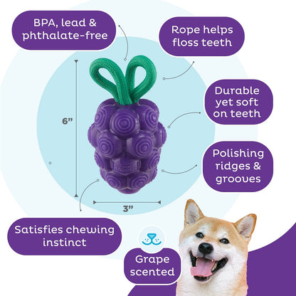 PLANET DOG - Dental Trauben - Beschäftigungs- & Dentalspielzeug für Hunde