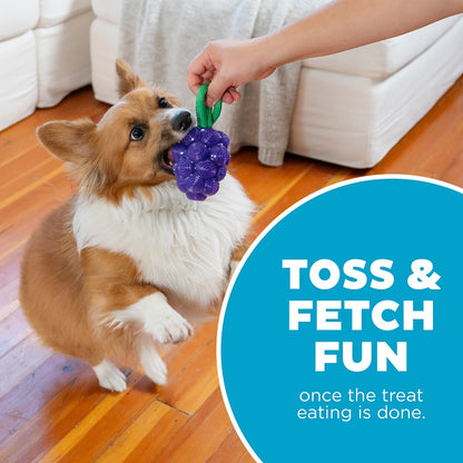 PLANET DOG - Dental Trauben - Beschäftigungs- & Dentalspielzeug für Hunde
