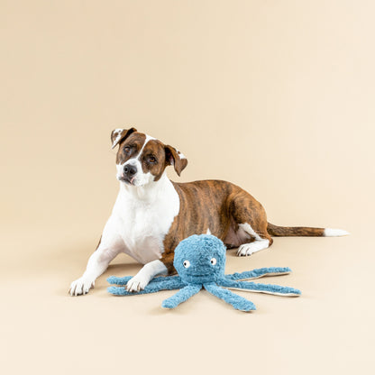 PETSHOP - Hundespielzeug XL "Long Time No Sea" - OSSO BLU