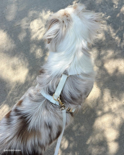 SUNNY TAILS - Cloud 4-in-1 Hundeleine - Glow in the Dark