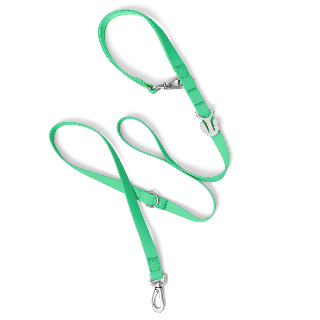 Springland Pets - Premium wasserdichte 1,5 m Hundeleine mit gepolstertem Griff (4er-Pack) - OSSO BLU