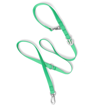 Springland Pets - Premium wasserdichte 1,5 m Hundeleine mit gepolstertem Griff (4er-Pack) - OSSO BLU