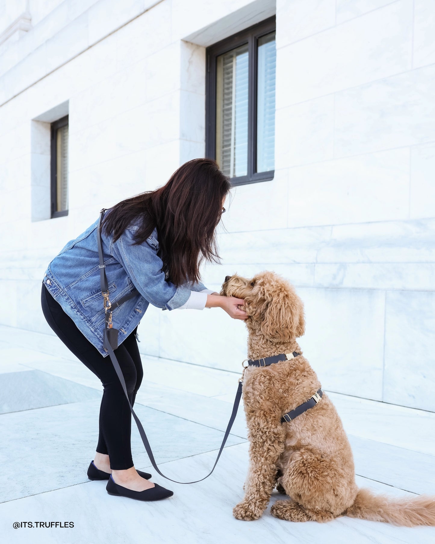 SUNNY TAILS - Ember Black Cloud Lite Dog Harness