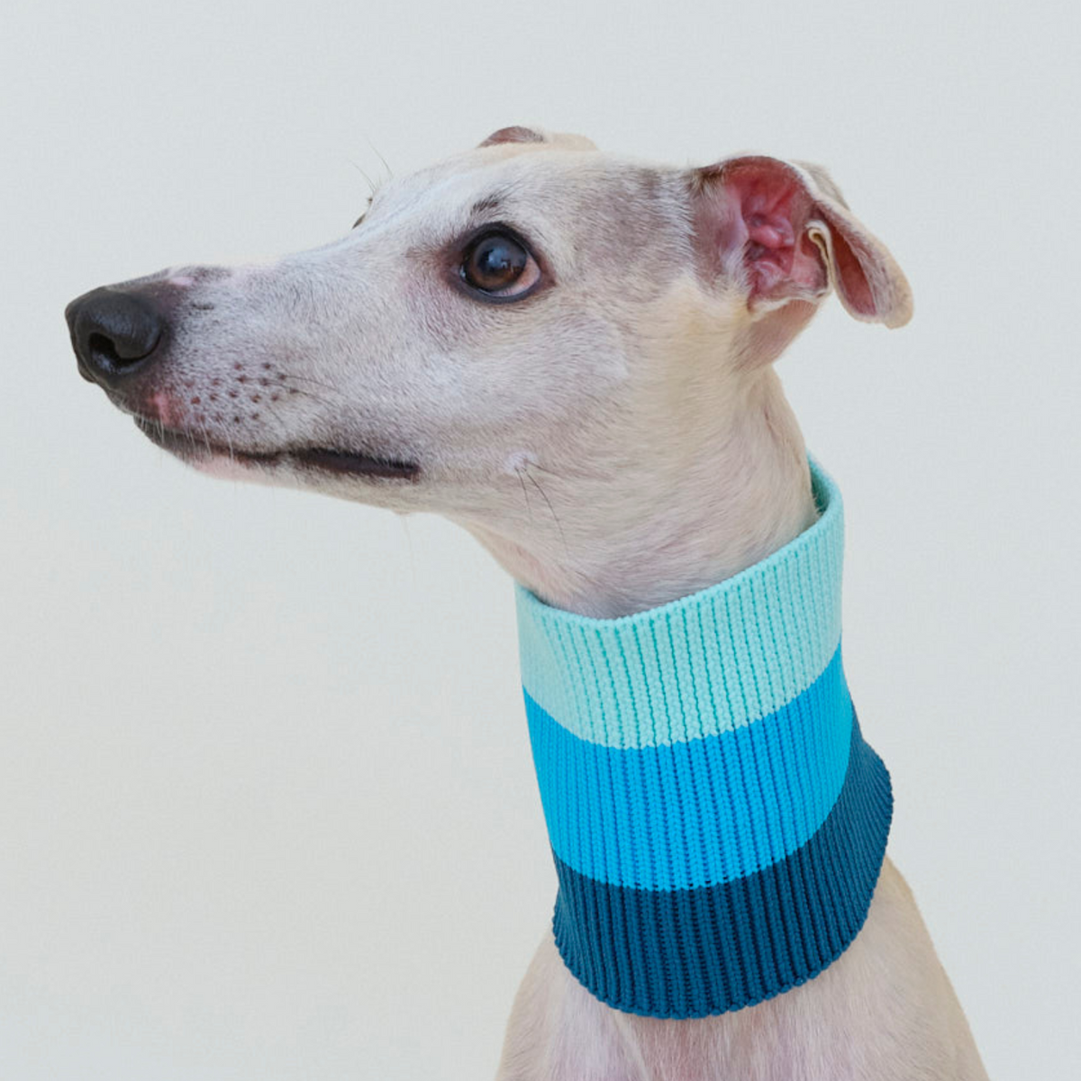 LUMIIES – Glow Loop 2.0 Hundeschal Crystal Sky