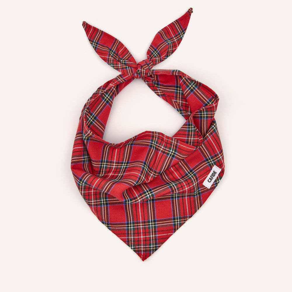 CAFIDE - Hundehalstuch „Royal Stewart Tartan“ – Nata