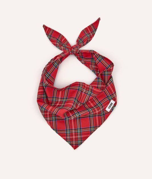 CAFIDE - Hundehalstuch „Royal Stewart Tartan“ – Nata