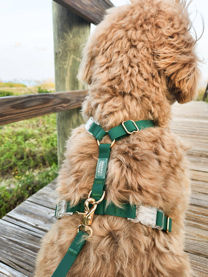 SUNNY TAILS - Meadow Green Cloud Lite Dog Harness - OSSO BLU