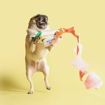 the furryfolks - Doggo Wipe Nasenarbeits-Spielzeug - OSSO BLU