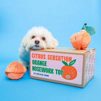 the furryfolks - Orange Nosework-Spielzeug für Hunde - OSSO BLU