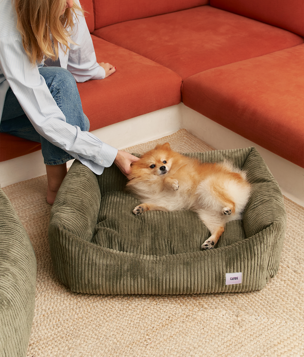 CAFIDE - Hundebett „Snozy“ – Cord