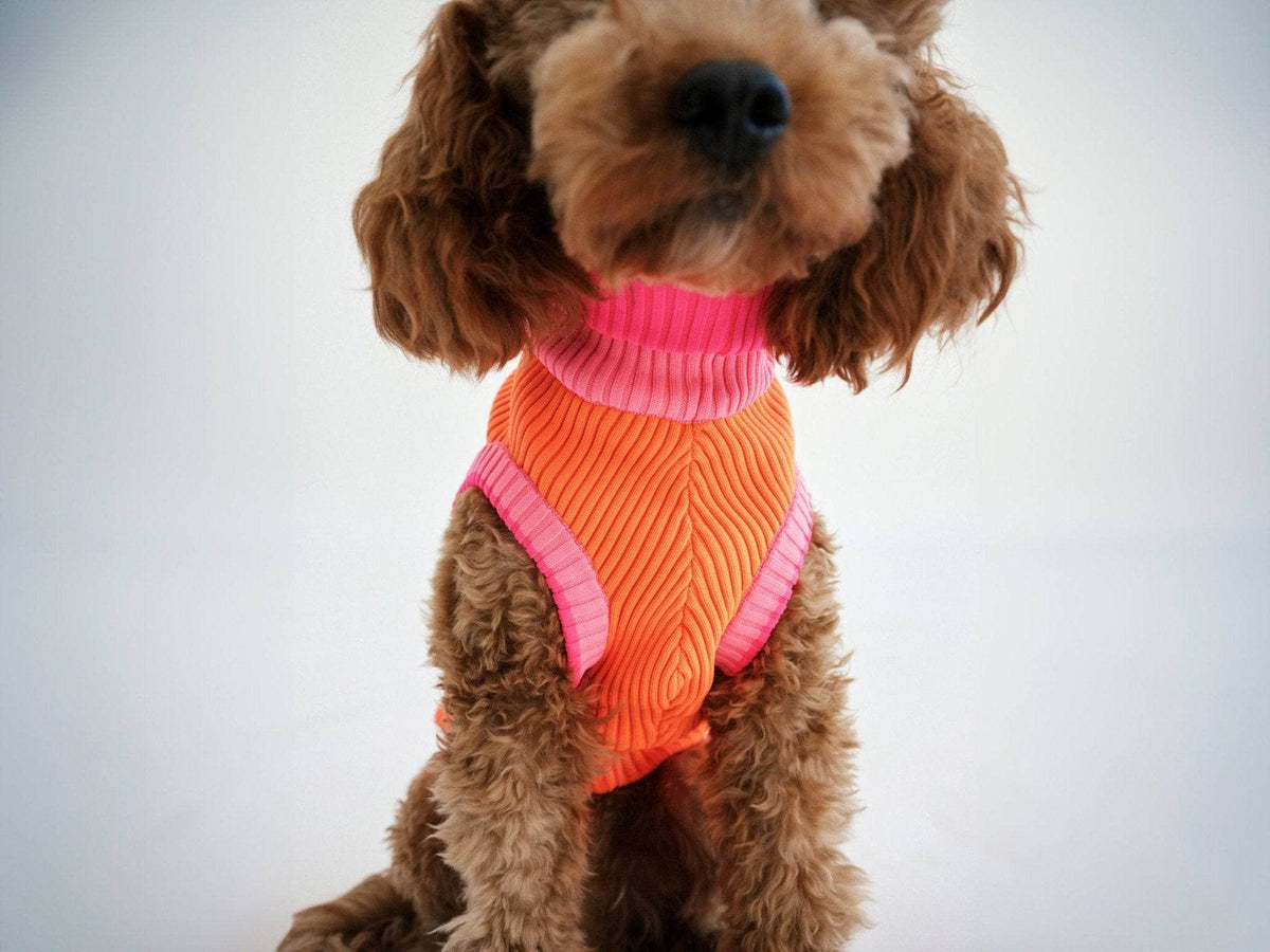 LUMIIES – Glow Jumper 2.0 Hundepullover Sunny Tangerine