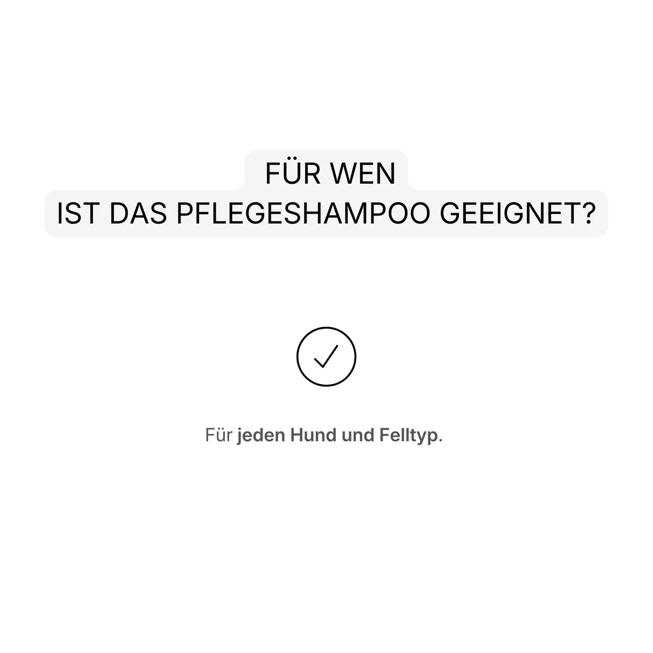GIOLA BEAUTY - Conditioning Shampoo for Dogs