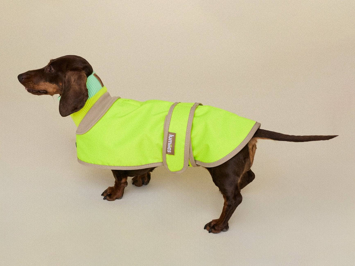 LUMIIES – Glow Raincoat Mini-Fit Hunderegenmantel Neongelb