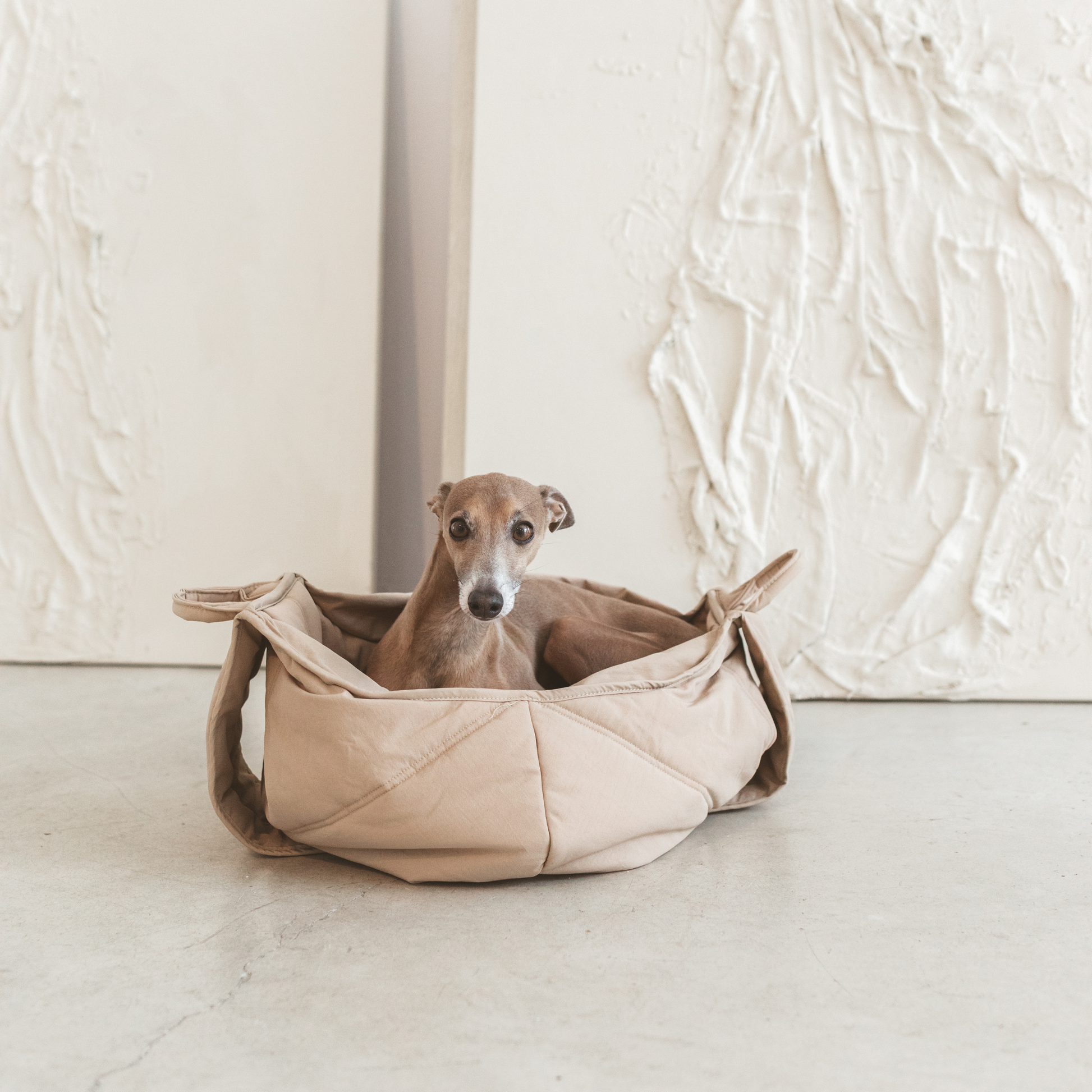 LAMBWOLF COLLECTIVE - OLLA Tragetasche für Hunde – Camel - OSSO BLU