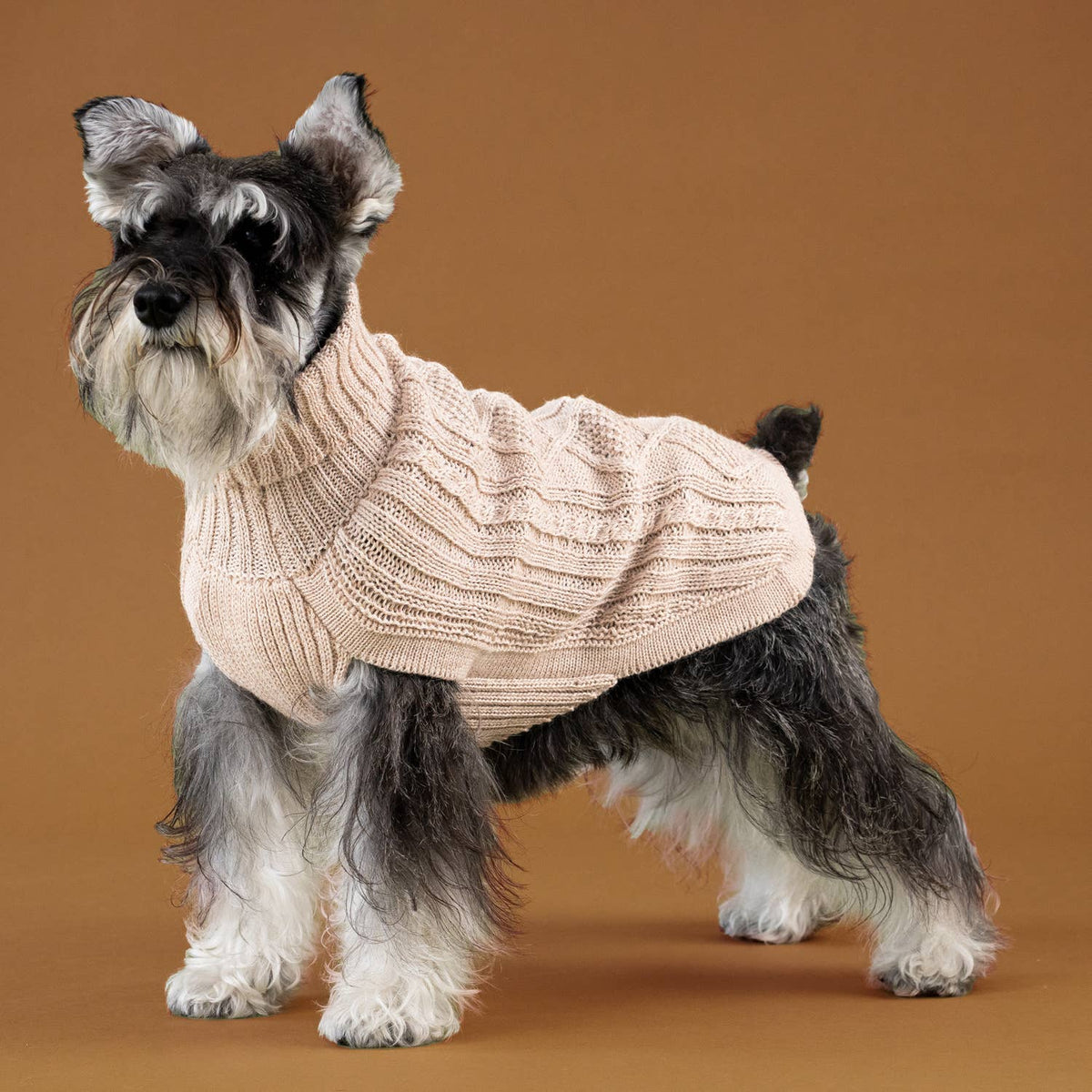 ALQO WASI – Aran Knit Alpaka-Hundepullover Ivory