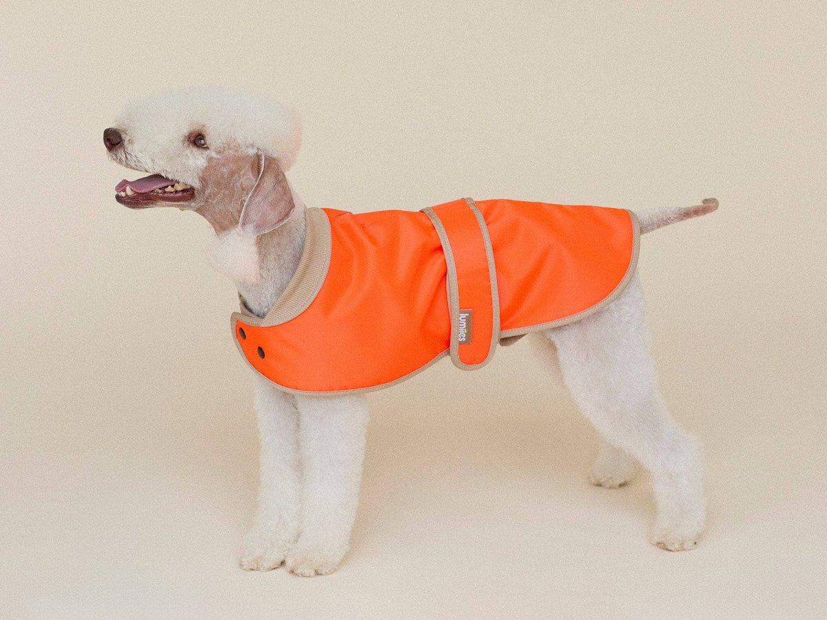 LUMIIES – Glow Raincoat Mini-Fit Hunderegenmantel Neonorange
