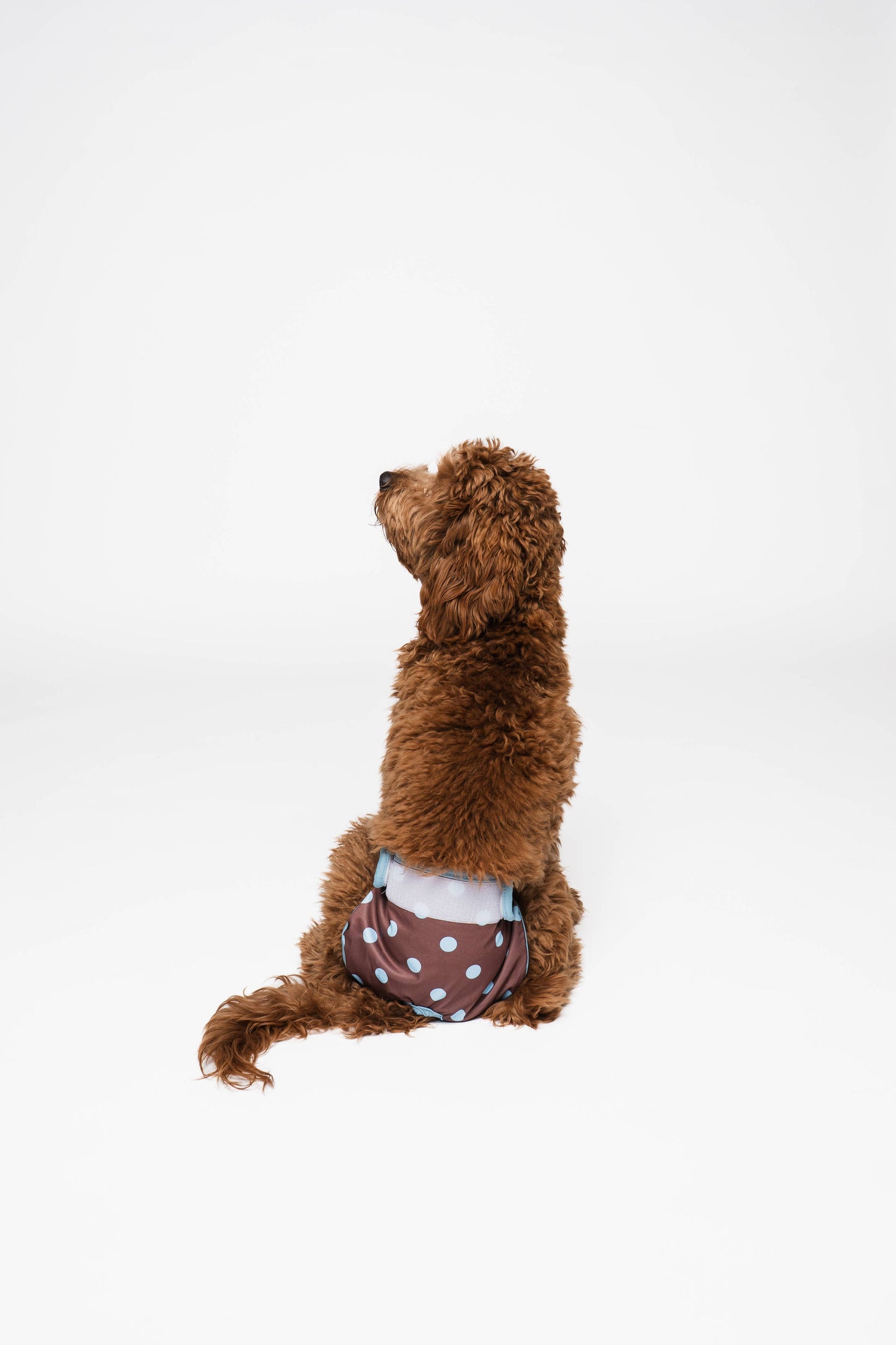 LOU & CO. - Läufigkeitshöschen – Pünktchen