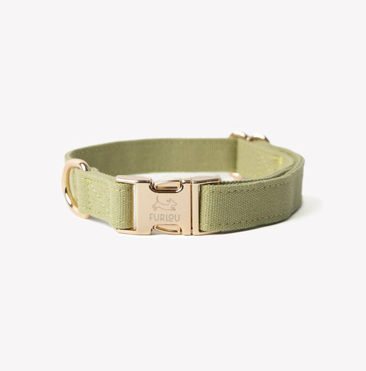 FURLOU – Hundehalsband aus Baumwoll-Canvas in Grün - OSSO BLU