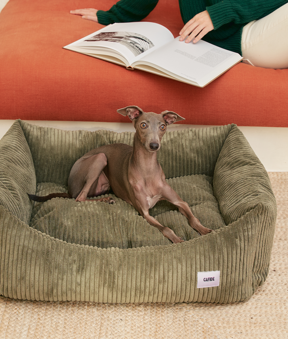 CAFIDE - Hundebett „Snozy“ – Cord