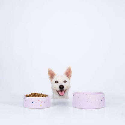 EGG BACK HOME – New Party Dog Bowls (Set of 2, Lilac)