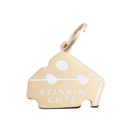TWO TAILS PET COMPANY - Stinkin' Cute Pet ID Tag - OSSO BLU