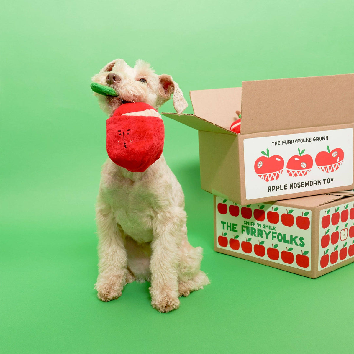 the furryfolks - Apple Nosework-Spielzeug für Hunde - OSSO BLU