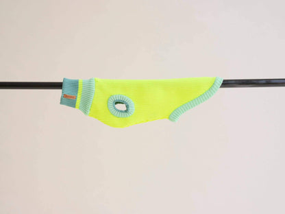LUMIIES – Glow Jumper 2.0 Hundepullover Neon Matcha