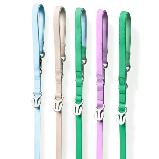 Springland Pets - Premium wasserdichte 1,5 m Hundeleine mit gepolstertem Griff (4er-Pack) - OSSO BLU