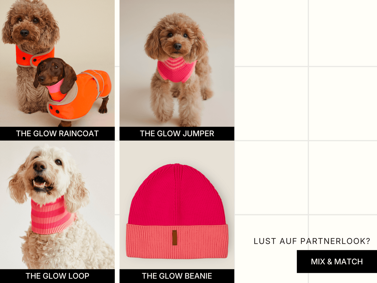 LUMIIES – Glow Jumper 2.0 Hundepullover Pink Parade