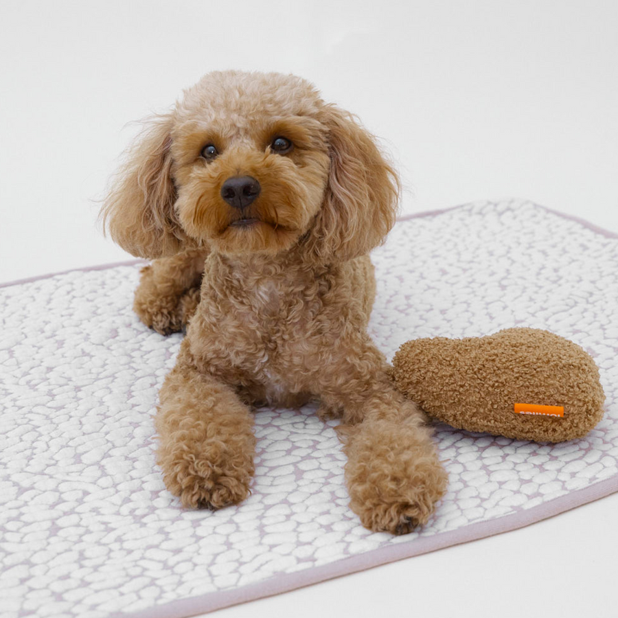 LUMIIES - THE STUDIO BLANKET – Ultraweiche Hundedecke | Cloudy Pebble