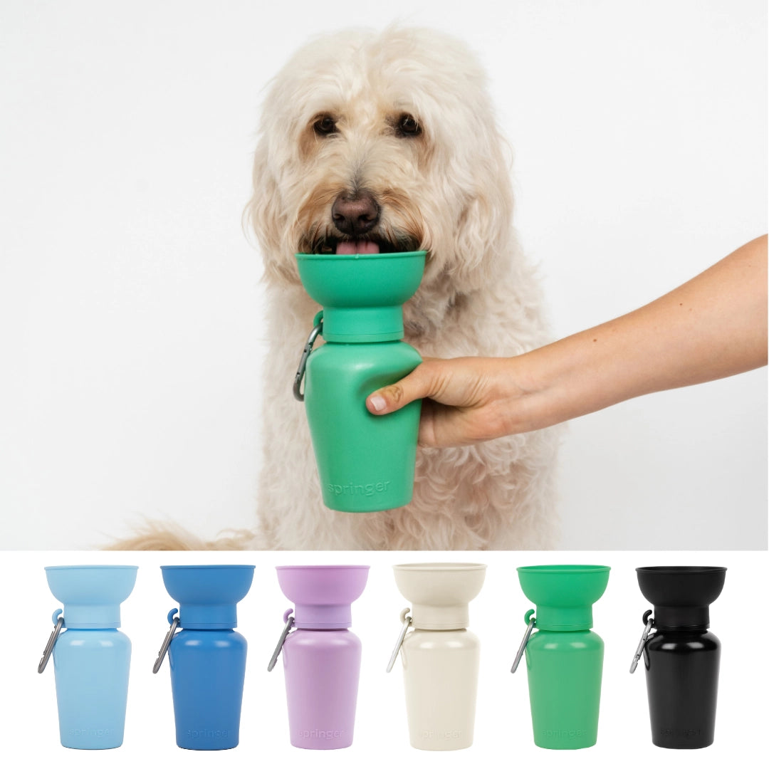 SPRINGLAND PETS - Travel Water Bottle for Dogs | Flip 590ml