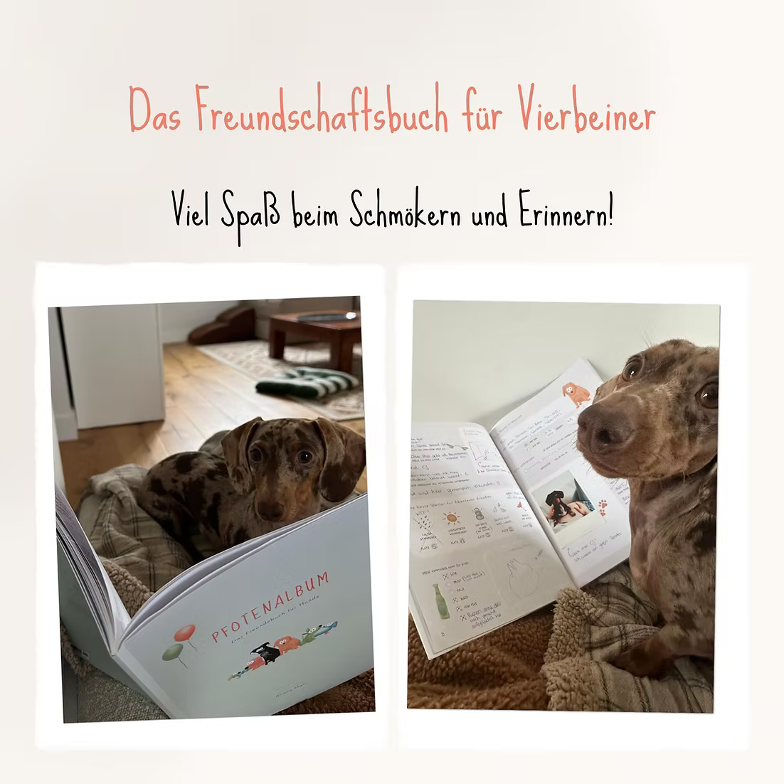 PFOTENALBUM – Das Freundschaftsbuch für Hunde