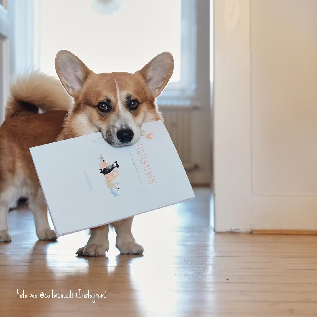 PFOTENALBUM – Das Freundschaftsbuch für Hunde
