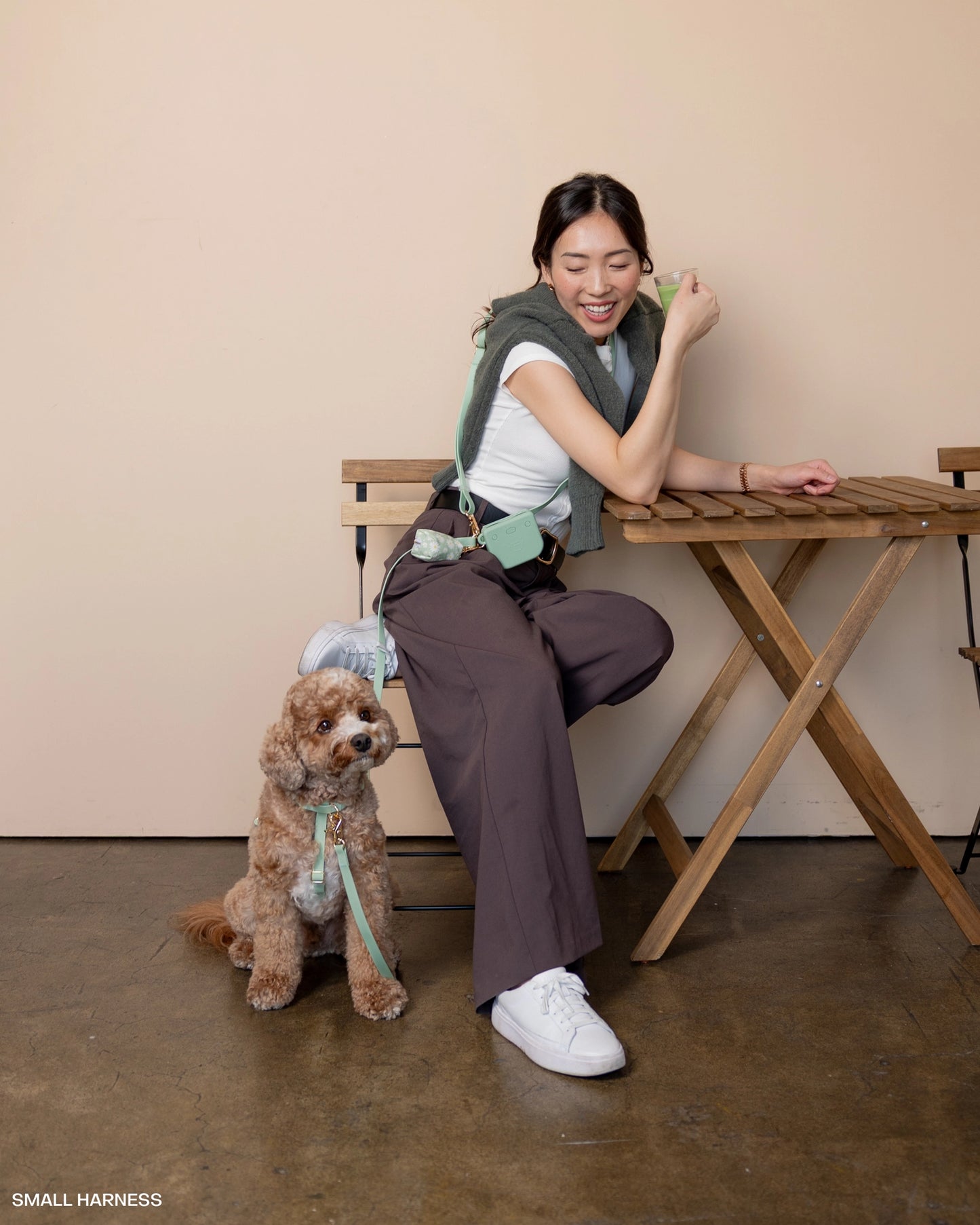 SUNNY TAILS - Wasserdichtes Hundegeschirr - Pistaziengrün